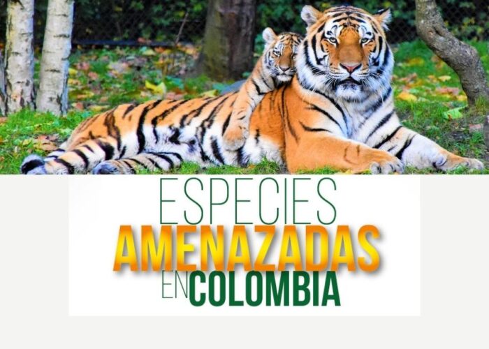 Especies amenazadas en Colombia